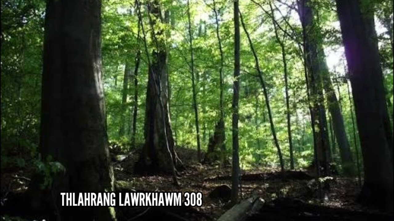 Zu rui chunga sa chang thiltawn mak leh Mizo Thiltawn dangte ( Thlahrang Lawrkhawm 308 )