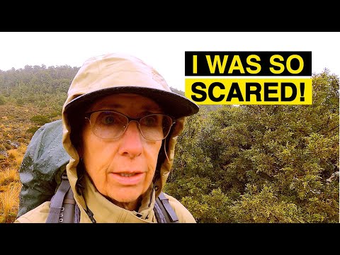 My hardest night in a tent!   🥾 🌲🏕🌲 🥾 Umukarikari Track, Kaimanawa Forest