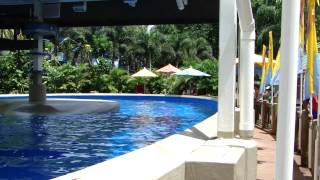 Vacation 2012 Seaworld Dolphin Nursery