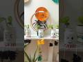 mini bottle art #balconygarden #bottleart #youtubeshorts #shortvideo #shorts #bottlepainting #diy