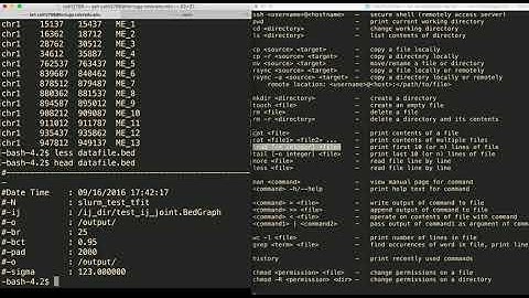 Remote RSYNC, Reading Files