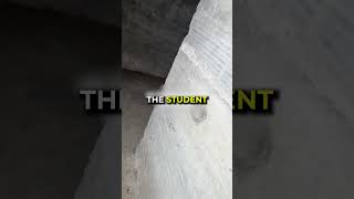 You Wont Believe Whats Inside This Tunnel