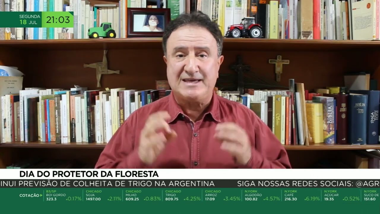 DIA DO PROTETOR DA FLORESTA