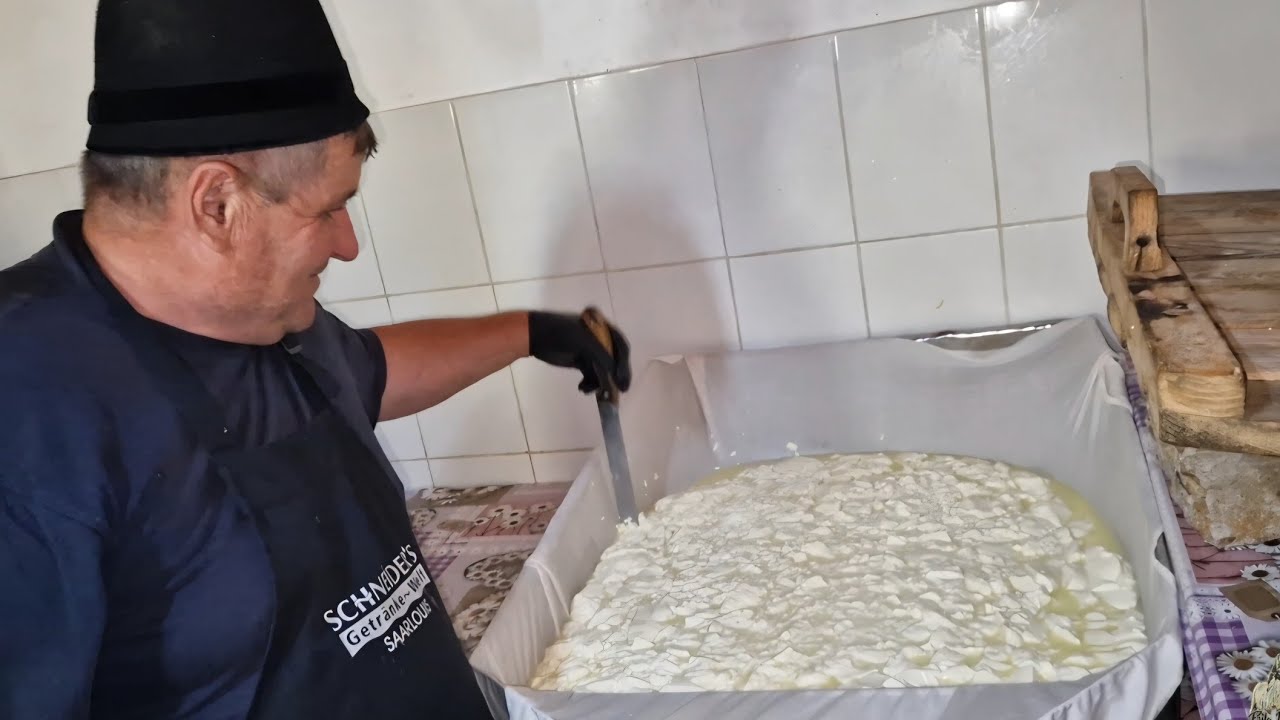 CUM SE FACE BRÂNZA TELEMEA DE OAIE LA STÂNA BUTA ALĂTURI DE ION HOBICEAN, MUNȚII RETEZAT