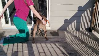 SEPR Cobain getting his nails clipped