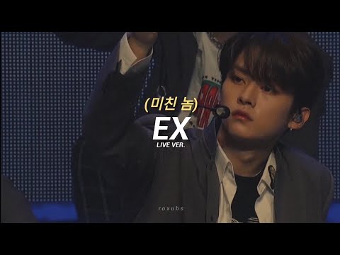 Stray Kids; Ex (미친 놈) live ver.// [sub.español & romaji]