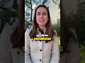 🚧 Es imposible encontrar una vivienda decente en Benalmádena.