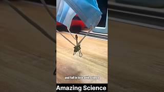 Science Fun #amazingscience #experiment #facts #scienceexperiment #newtrends
