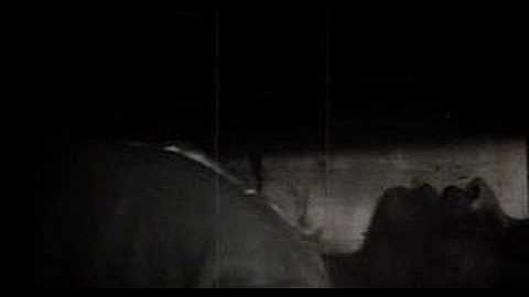 Khold  Innestengt I Ei Kekiste