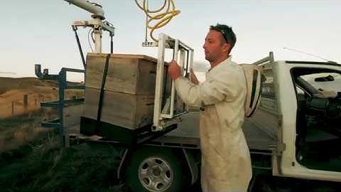 Loading up Honey and Hives with the Ezyloader