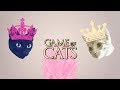 ¿Cómo presentar a dos gatos sin que haya drama? ⚔️ | Pasos para una convivencia gatuna feliz 🐱❤️🐱