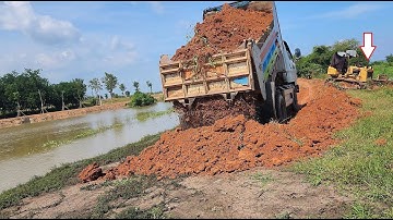 Wonderful action dump truck unloading soil pushing with skillful dozer