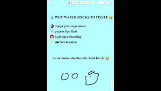 Why Water Sticks To Itself 