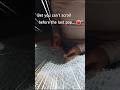 Satisfying Bubble Wrap ASMR 🫧 #shorts