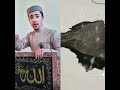 #اكسبلور #القارئ #المصحف #الله #funny #دويتو #صلوا_على_النبي #alhamdulillah #اعتني