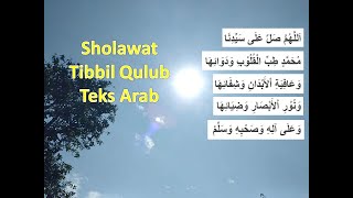 Tibbil Qulub Lirik (teks arab dan terjemah)