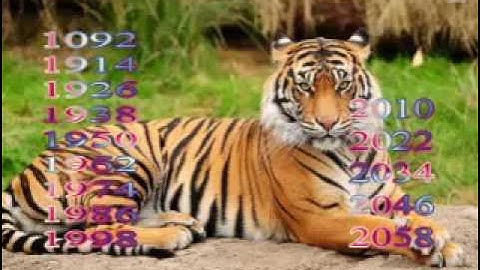 neeg yug nyob rau tsov xyoo