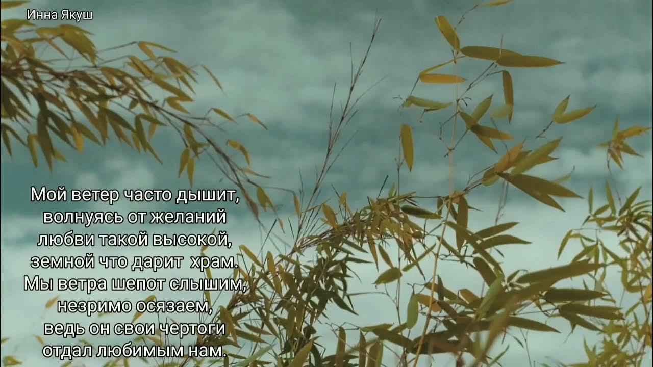 Движение воздуха. Ветер как ветер видео. Облако в виде корабля. Ветерок в поле. Корабль в облаках.