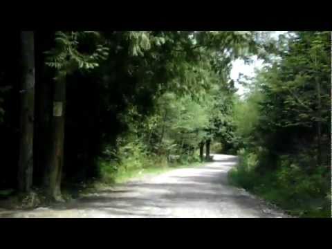 Saquatch Tour Vancouver Island Monster Quest Saquatch Tour Vancouver Island Monster Quest