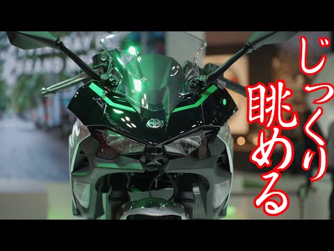 バベット　ニンナ　モフリ バベット ニンナ モフリ Amazon.co.jp: Moflin モフリン AI
