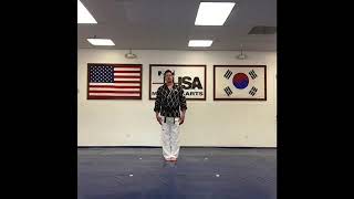 Hapkido Kicking Combinations High Brown-Deputy 1 Belt