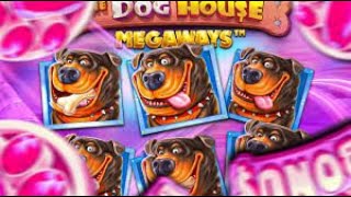 THE DOG HOUSE I  ДЕП 20.000 I №2 1WIN | ЗАНОСЫ НЕДЕЛИ