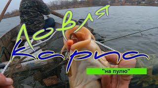 Ловля карпа на Ловля карпа на