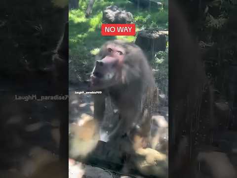 Epic funny video (laugh time) 🤣😂🤣#shorts #funnyvideo #comedyvideo #viralvideo #fails #youtubeshorts