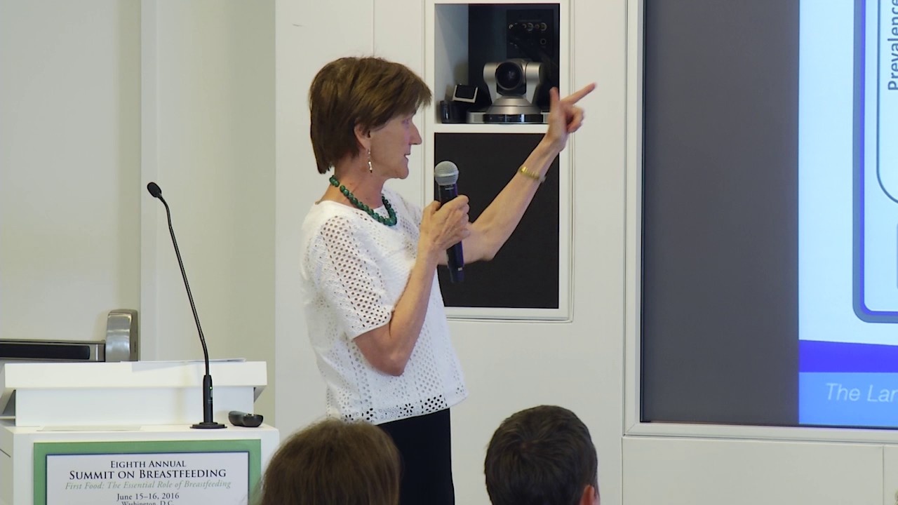 Dr. Lutter The Lancet Breastfeeding Series YouTube