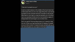 How Cats Show Love, Tumblr Post #tumblr #tumblrpost #cats