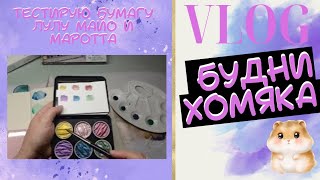 : Vlog:  45 -      ! # 