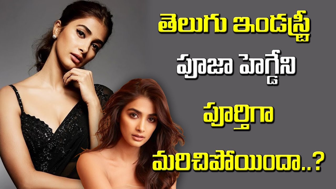 Heroine Pooja Hegde Focus On Bollywood Movie Offers ✨