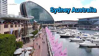 Sydney Darling Harbour To Pyrmont Walking Tour | Australia