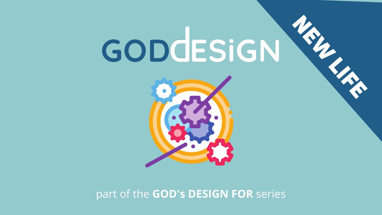 GDF God s Design For New Life YouTube gdf-god-s-design-for-new-life-youtube
