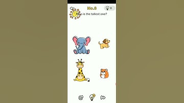 Brain out levels 1to20