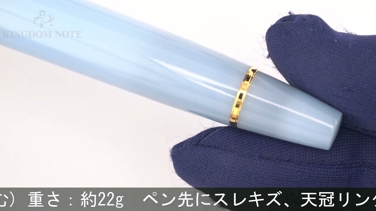 SAILOR セーラー 万年筆 ペントノートオリジナル プロフェッショナル