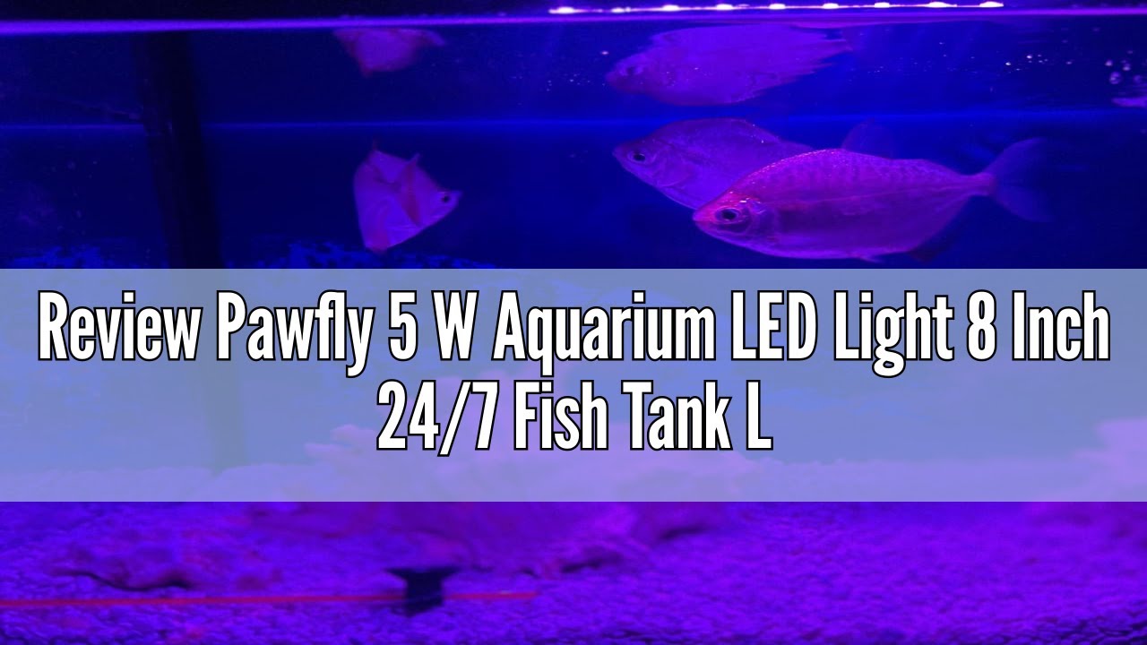 Pawfly 18 W Aquarium LED Light For 24 To 30 Inch Fish Tanks Extendable Fish Tank Light With Full Spectrum Brilliant White Blue Red Lights With Daytime & Night Modes And Adjustable Brightness