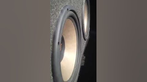 2 12" Xtant M Subwoofers