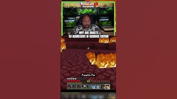 Why are the Bedrock ghasts so aggressive?? #minecraftshorts #clips #shorts #reels #minecraft