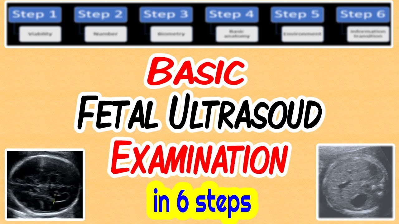 fetal presentation ultrasound report