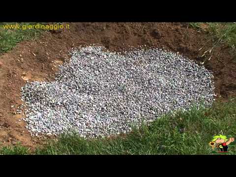 Video: Uno Stagno Nel Tuo Giardino, Principi Di Creazione