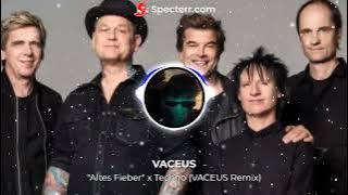 Tote Hosen x Techno (VACEUS Remix)