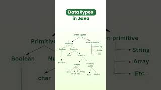 Data type in Java programming language #shorts #ytshorts #java
