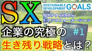 簡単解説【SX】サステナビリティトランスフォーメーションとは何のこと？【SDGs】持続可能な開発目標との違いは？