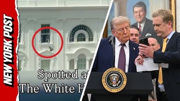Trump Claims Viral Video of Mystery Objects Being Tossed From White House Window is AI-Generated