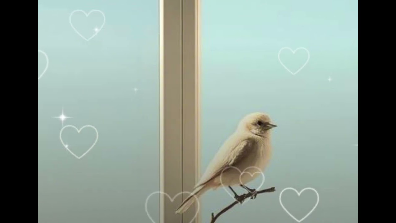 Birds singing🐦‍⬛