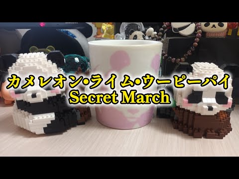 カメレオン ライム ウーピーパイ Secret March 歌ってみた Cover 歌ってみた 外国人