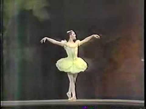 Cinderella Fairies 2