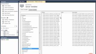 13  Demo  Status and System Variables