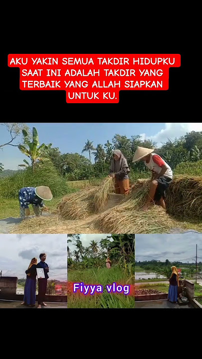 AKU YAKIN SEMUA TAKDIR HIDUPKU SAAT INI ADALAH TAKDIR YANG TERBAIK #feedshorts